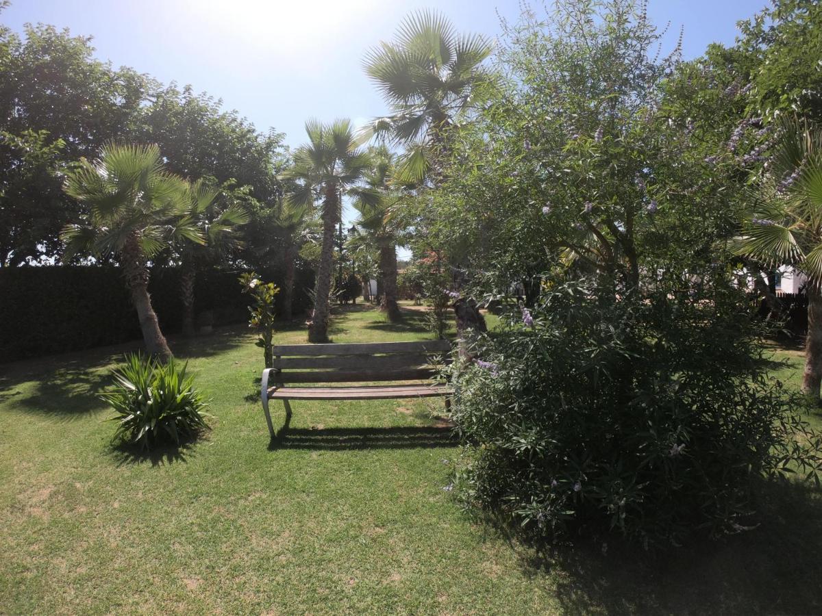 Naturetreehouse Casa Sobre Los Arboles Pensionat Blanes Exteriör bild