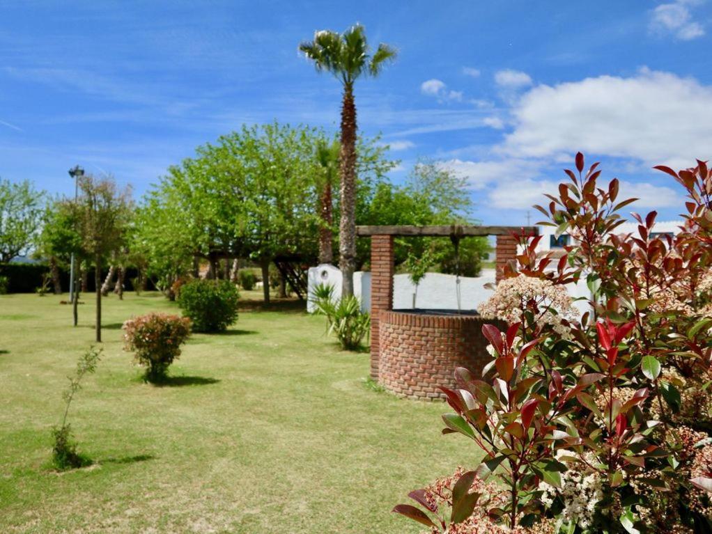 Naturetreehouse Casa Sobre Los Arboles Pensionat Blanes Exteriör bild